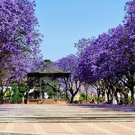 Alazan Jerez Iv-Parking Gratis-Wifi-Netflix Jerez de la Frontera Exterior foto