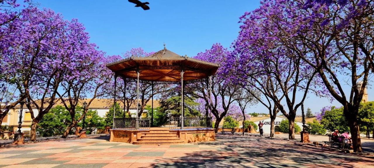 Alazan Jerez Iv-Parking Gratis-Wifi-Netflix Jerez de la Frontera Exterior foto